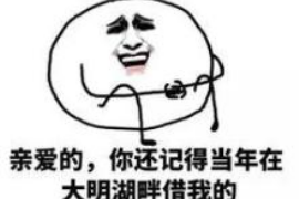 上思专业要账公司